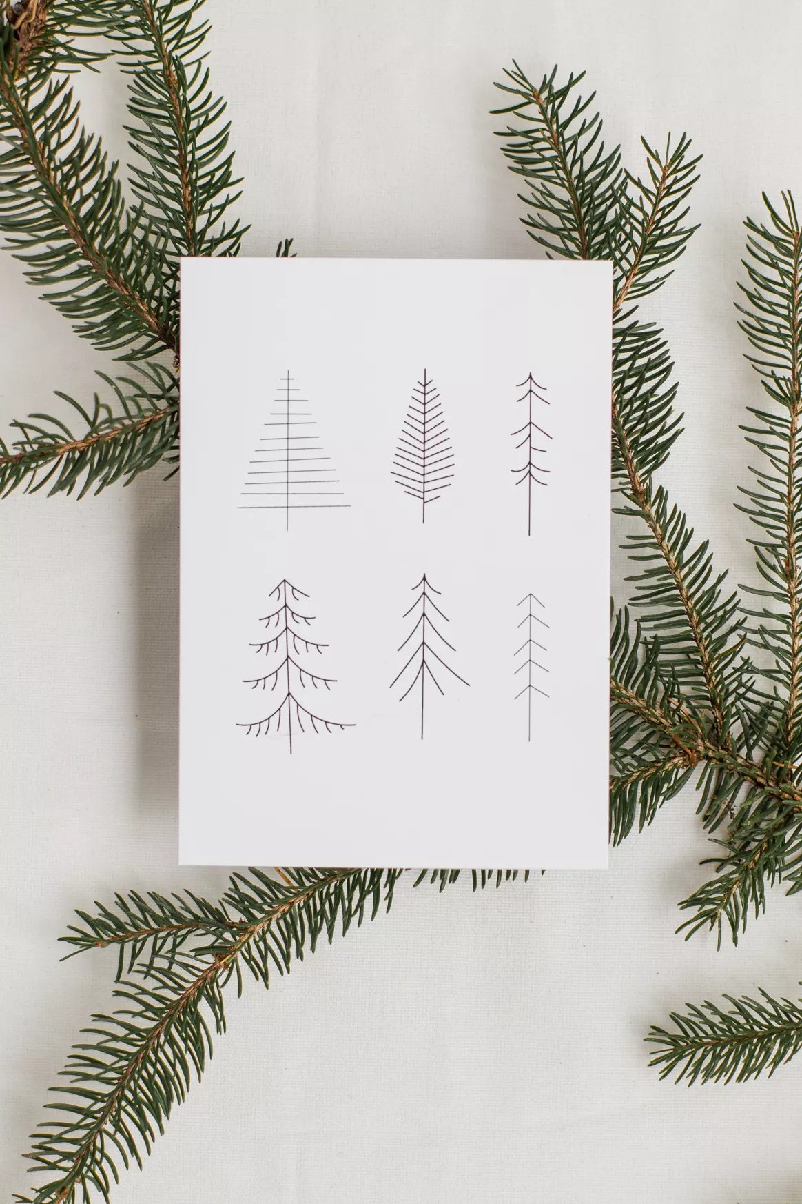 Weihnachts-Postkarte 'Tannenwald'